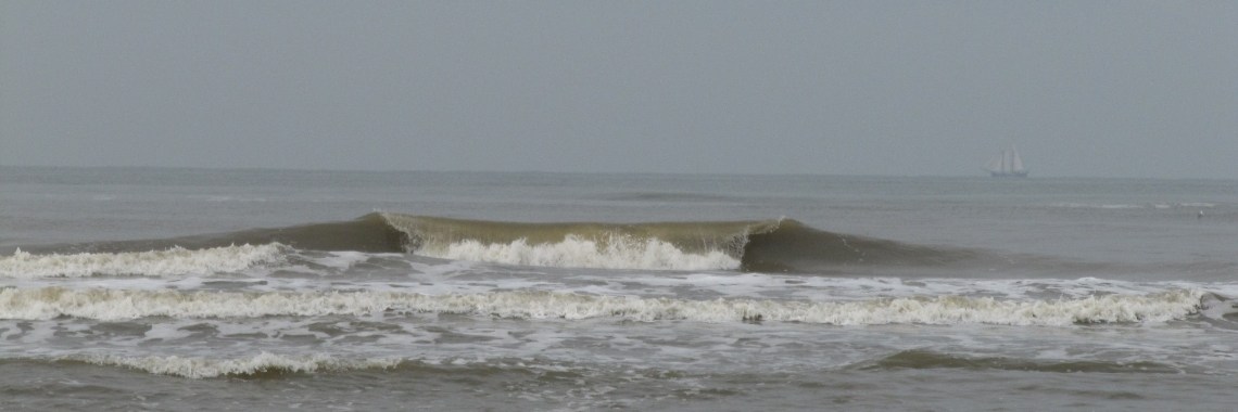 Zo gesloten als...... | Zilverbloem