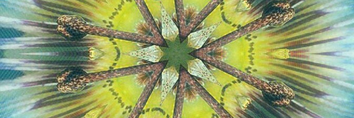 Digital Photoart Passiflora | Madeleine