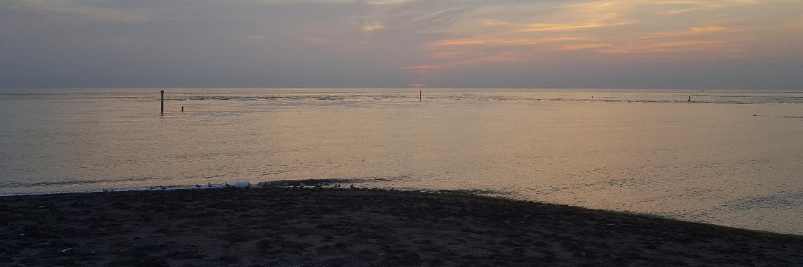 Empty Photography | Madeleine