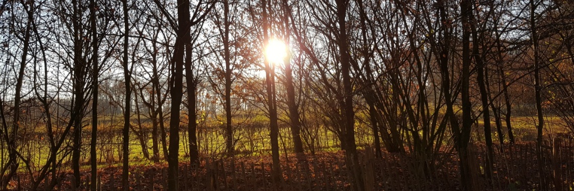 Gedicht - Dat zijn de klanken van mijn hart | Madeleine