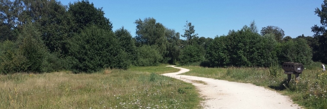 Gedicht- De taal van het luisteren | Madeleine