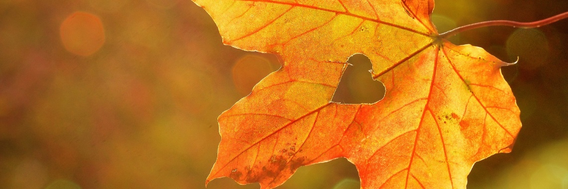 Jouw hart | Madeleine