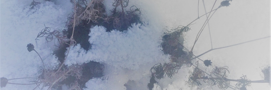 Simply Beautiful Winter | Madeleine