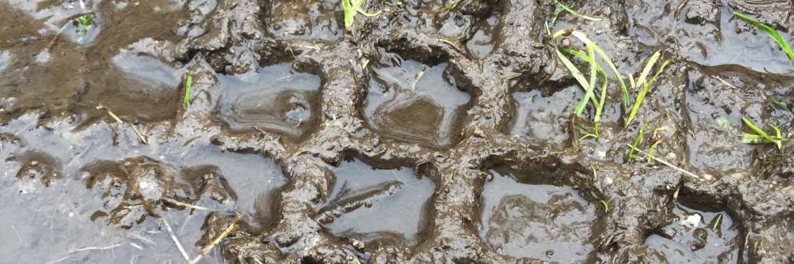 Smoothe Modder | Madeleine