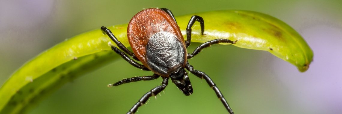 Sign active in nature | Madeleine