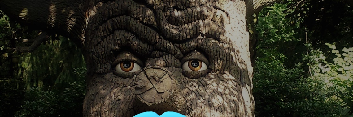 Wie heeft er getoverd in het Sprookjesbos? | Madeleine