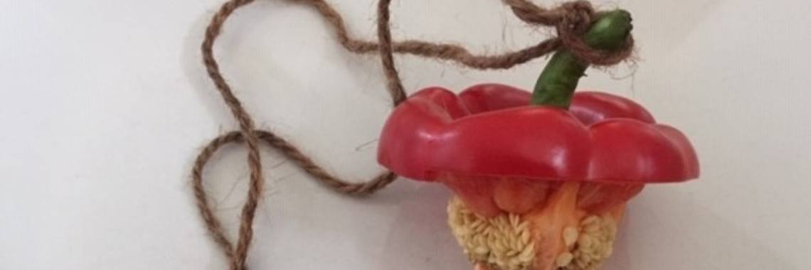 Zo die is eruit! - Paprikakies | Madeleine