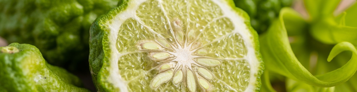 Bergamot; een populaire topnoot in dames- en herengeuren | Madeleine