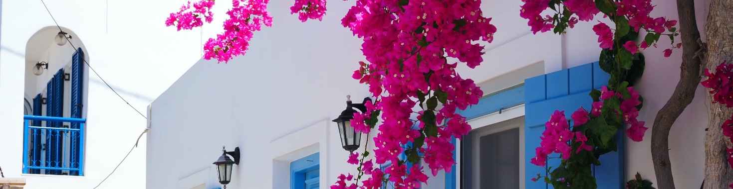 Creëer een prachtige Griekse tuin - Tips en ideeën | Madeleine