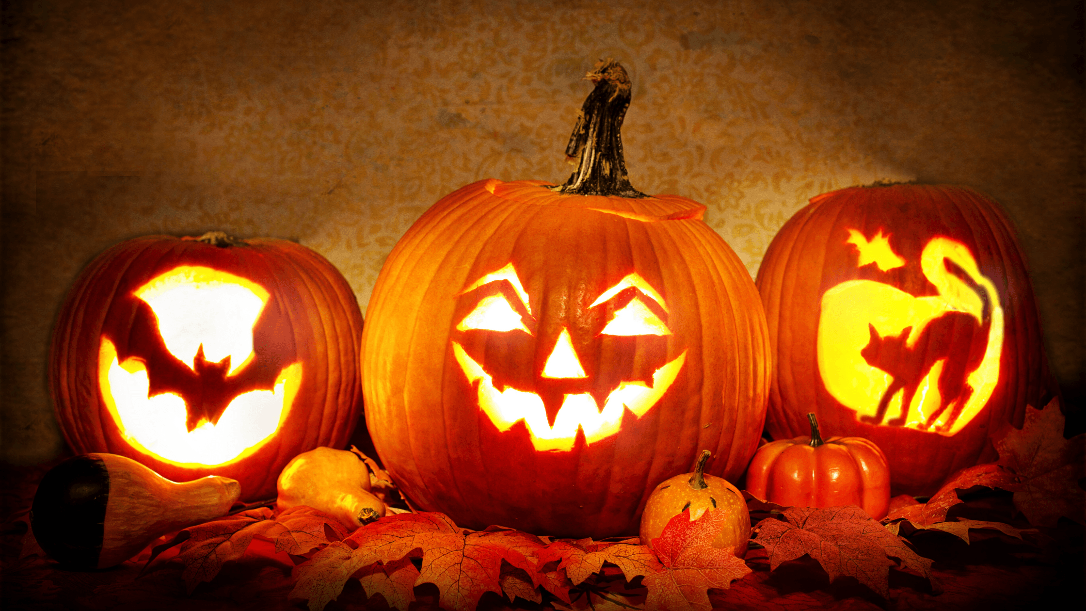 Kürbis schnitzen: Kreative Ideen für Herbst und Halloween | Madeleine