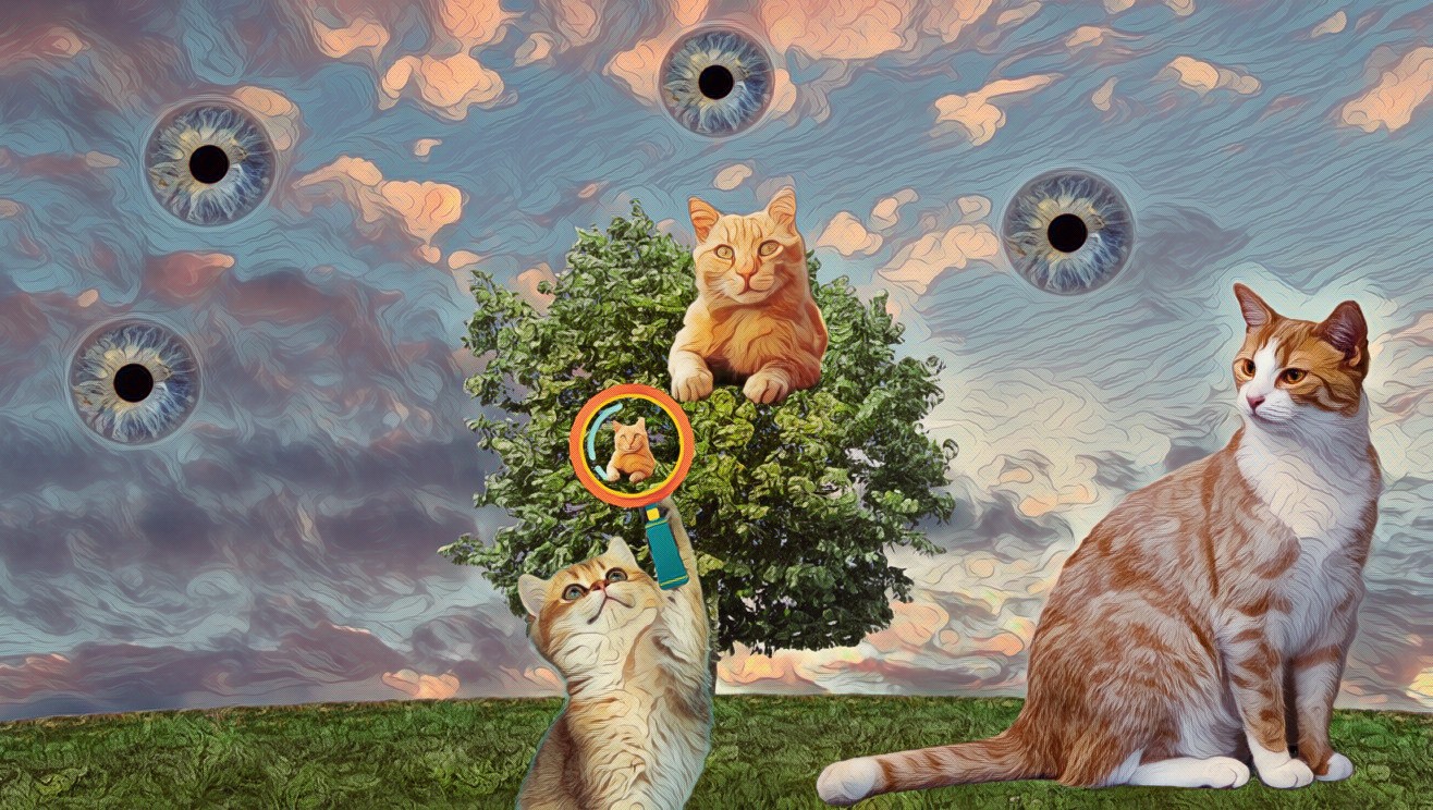 Looking at the cat from the tree | Madeleine