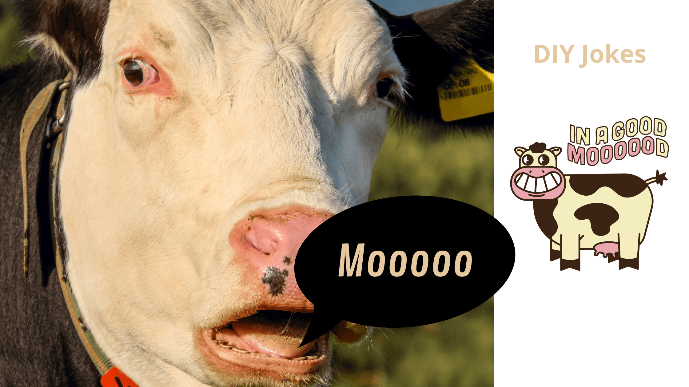 DIY-grappen - Ik ben in een goede stemming | Madeleine