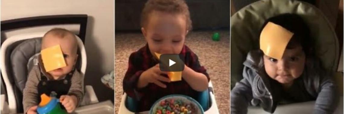 Amerikanen geven #Kaaskoppen nieuwe betekenis | Tegendraads