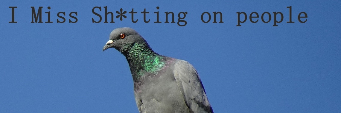 Animal Corona New Memes #animalmemes #Covid19 #fun | Tegendraads