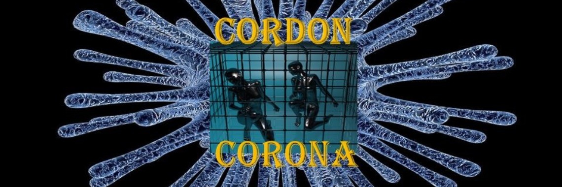 Cordon Corona > The Wuhanvirus Day 25 (01-24-2020) | Tegendraads