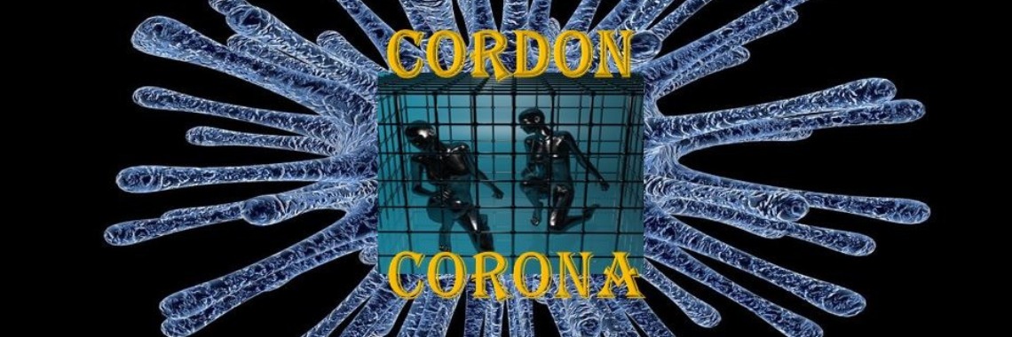 Cordon Corona > The #Wuhanvirus Day 31 (01-30-2020) | Tegendraads