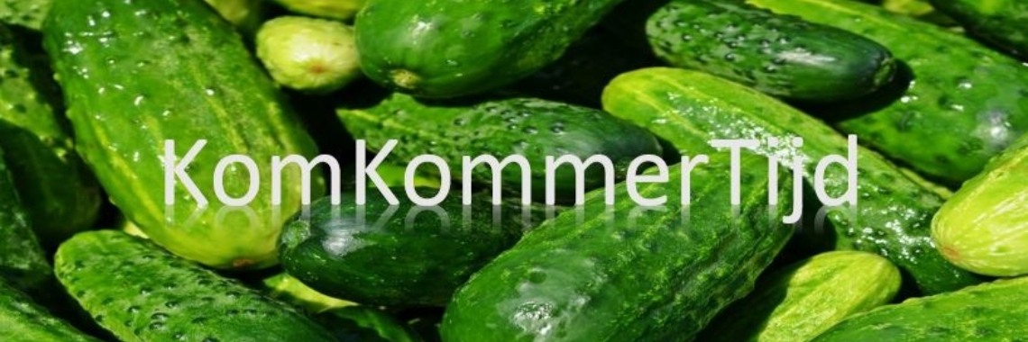 Heeft bloggen in de zomer eigenlijk wel zin? | Tegendraads