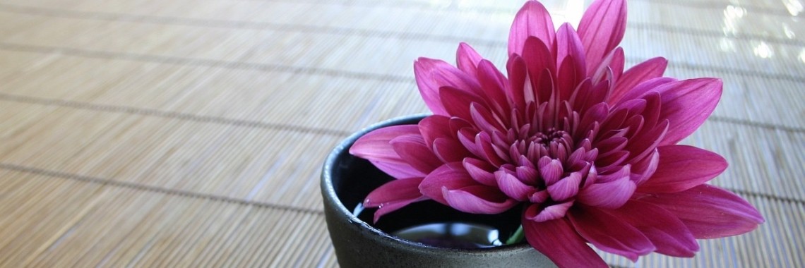 Shiatsu, voor wie en hoe werkt het? | Healthy Qi