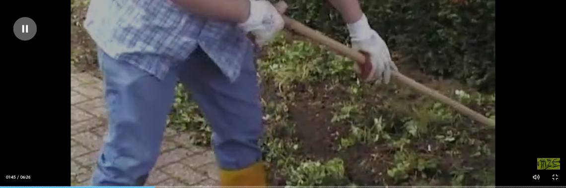 A green black garden | aandezwier