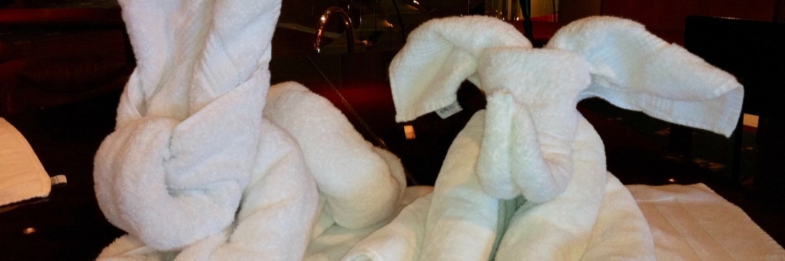 Handdoeken kunst / Towel Art | Elise