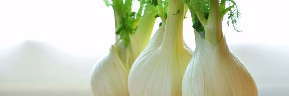 Venkel bij onvoldoende borstvoeding | Elise