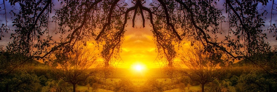 Wat is een oogstmaan? | Elise