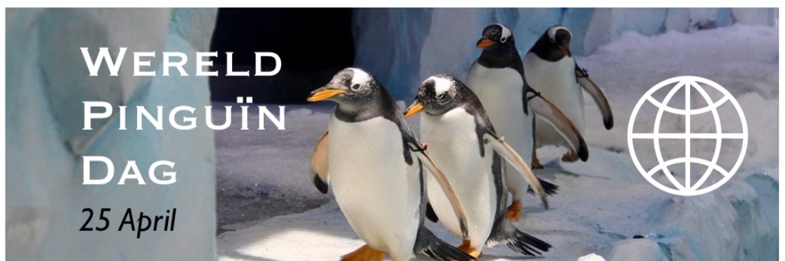 Wereld Pinguin Dag - 25 April | Elise