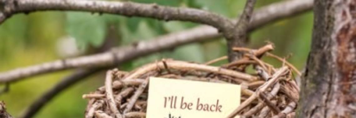 Nesteldrang | Suzanna Esther