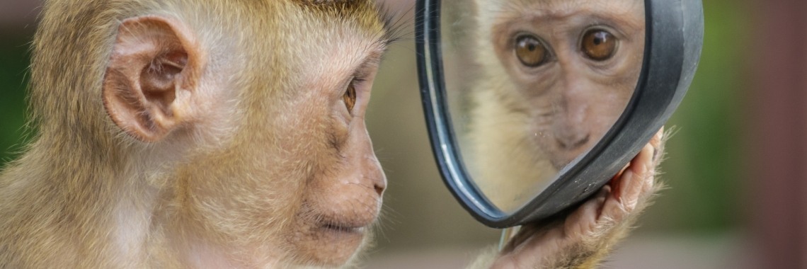 Het 'ikke-ikke-ikke syndroom' | Matthijs Ypenburg