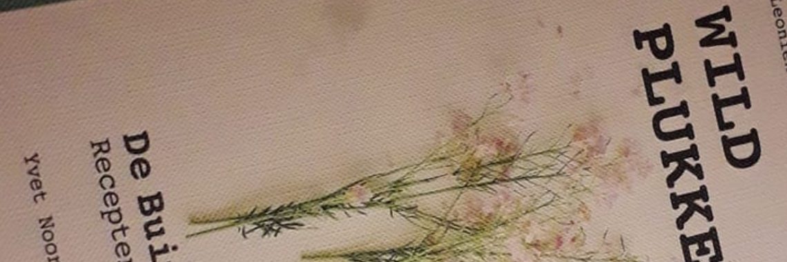 Carpe Die | Erwin Daniëls