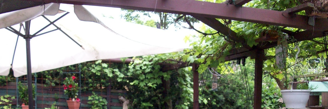 Dichtklappen | Erwin Daniëls