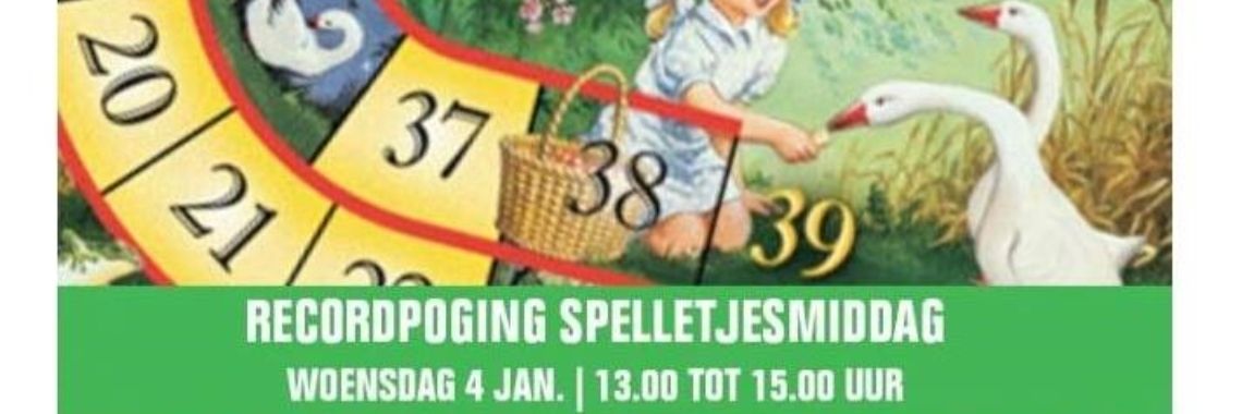 Record: 80 uur ganzenborden | Erwin Daniëls