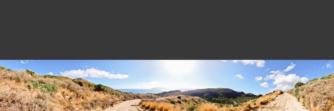Walking under the hedge | Erwin Daniëls