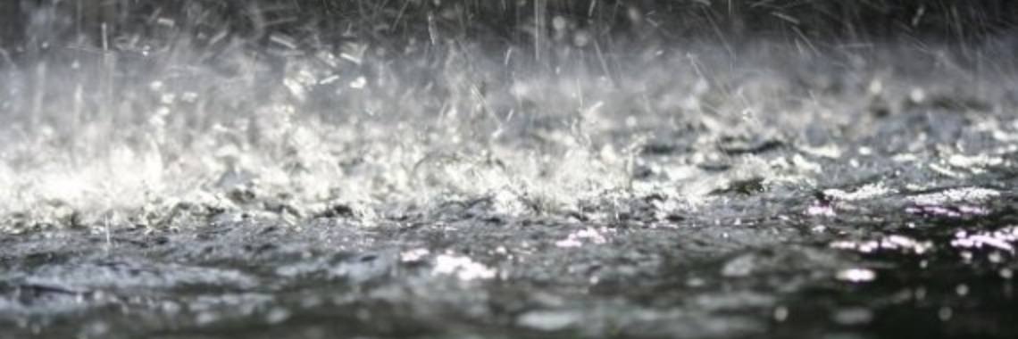 Een heerlijke dag. | conny_vdveen