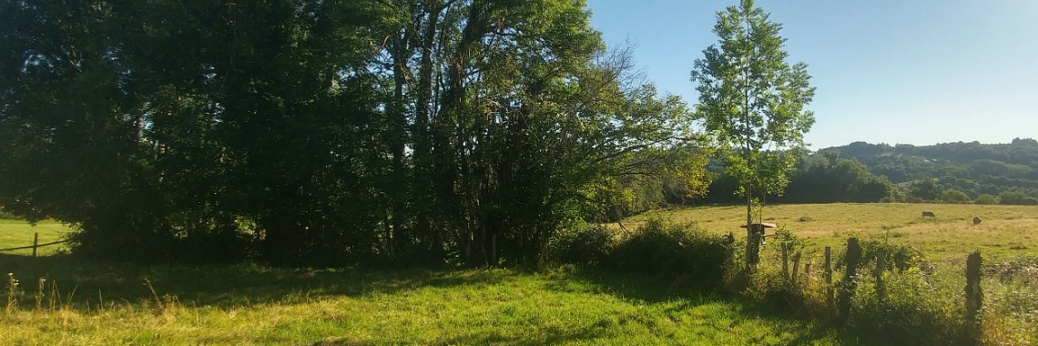 Update of French Fratsen | C'est moi, Evelinda :)