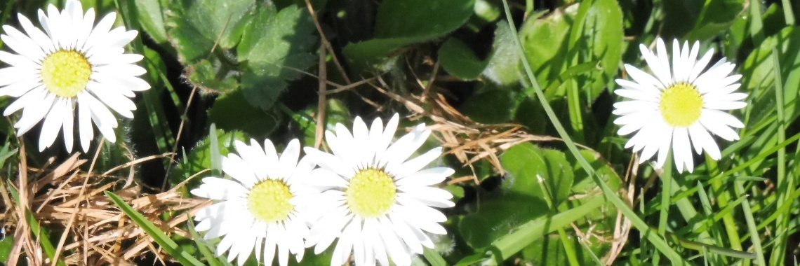 Een nieuw leven, het begin. | Het kleine huis zonder water