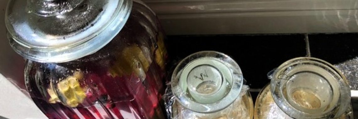 Bessen! | Het Zomerhuis in Mussel