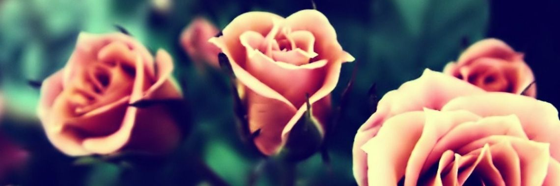 En hoe het verder ging. | Lil.Sunny