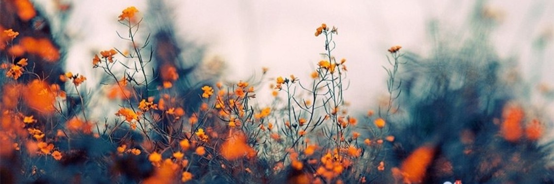 Welk masker past? | Lil.Sunny