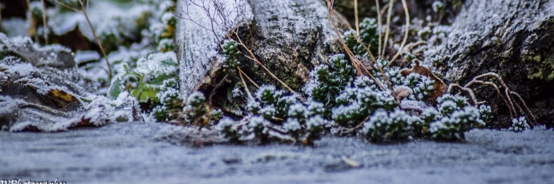 Winterplaatjes tot zover! | itzzRaveline