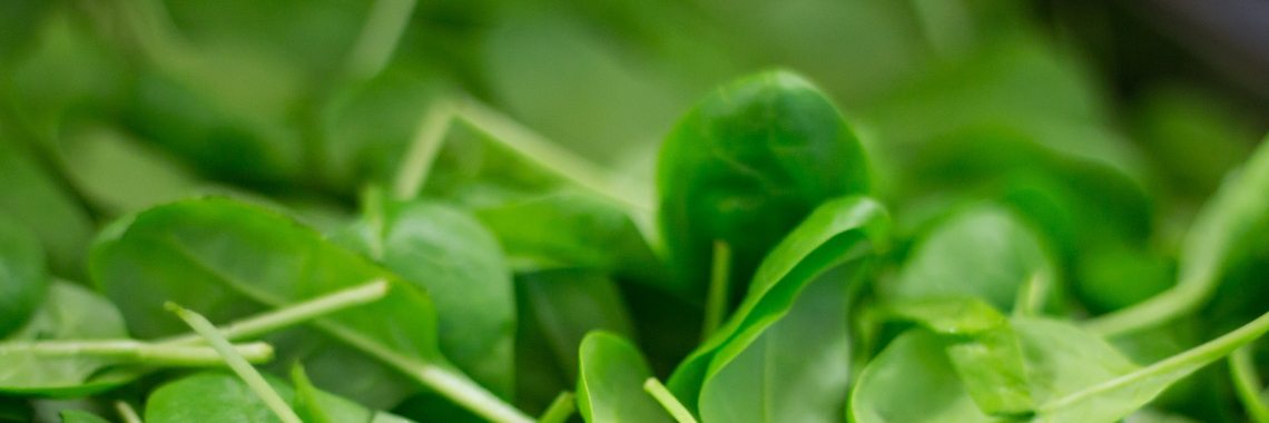 Low-carbohydrate creamy spinach soup | CreasaNL