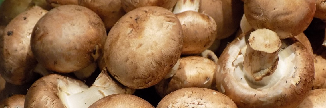 Low-carbohydrate mushroom soup quick and simple recipe | CreasaNL