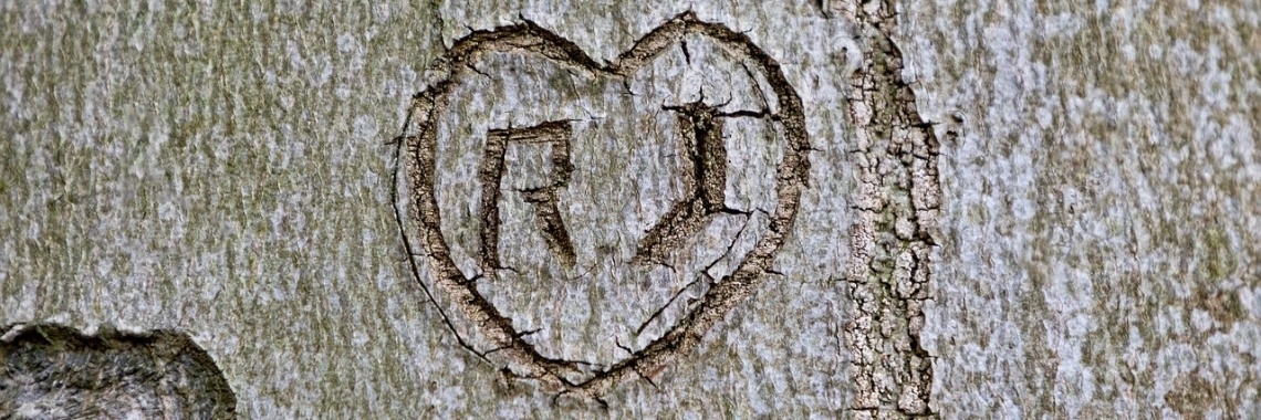 Kort verhaal ze kon er niet meer tegen | CreasaNL