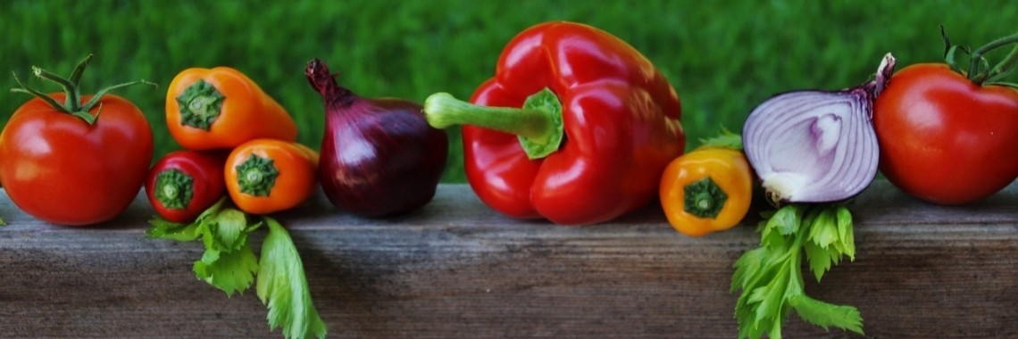 Moestuin voor beginners | CreasaNL