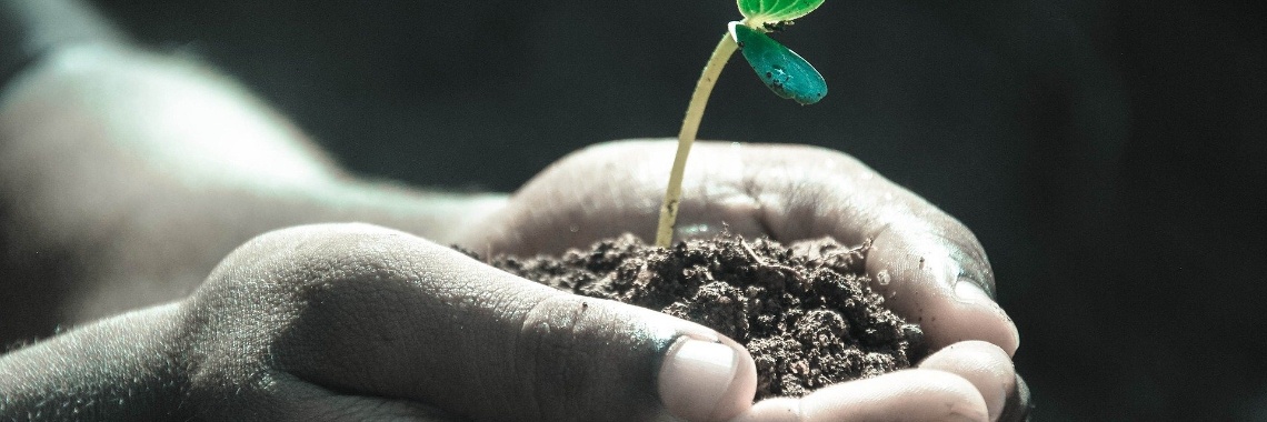 Ontdek de reden, waarom je leeft in deze wereld. The meaning of life | CreasaNL