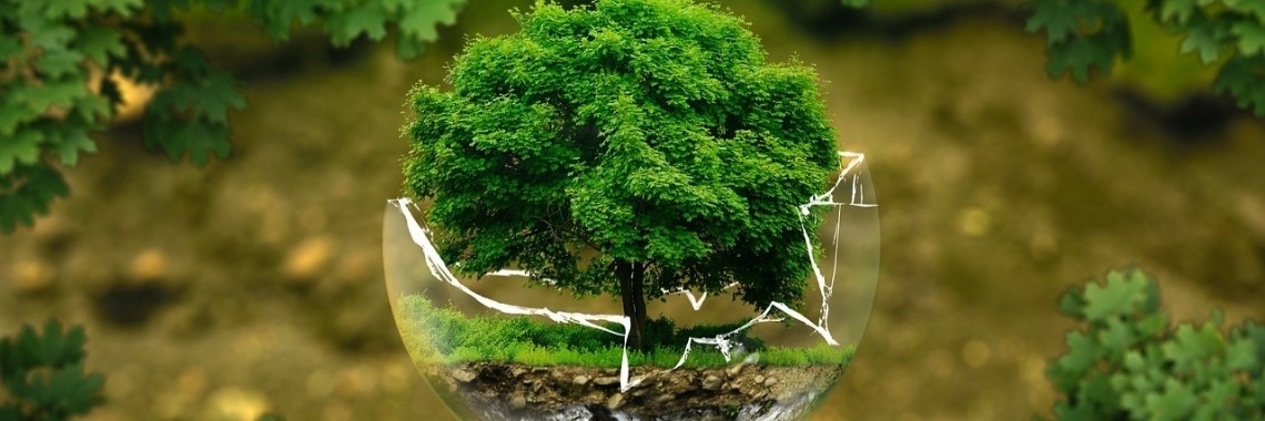 Persoonlijk: Ik zit in een emotionele rollercoaster | CreasaNL