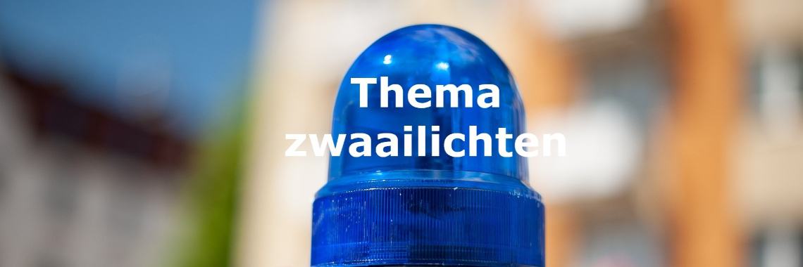 Theme flashing lights curated by Sabrina Jansen Gastouderopvang't Speelmaatje | CreasaNL