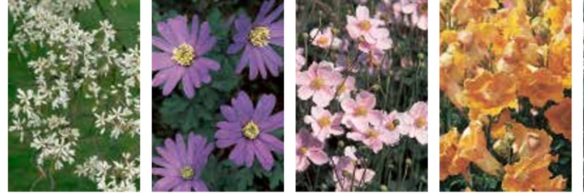 Recensie: Een jaar in de tuin | Boeklovers