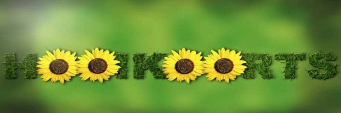 Tips bij hooikoorts | jolienthevissen