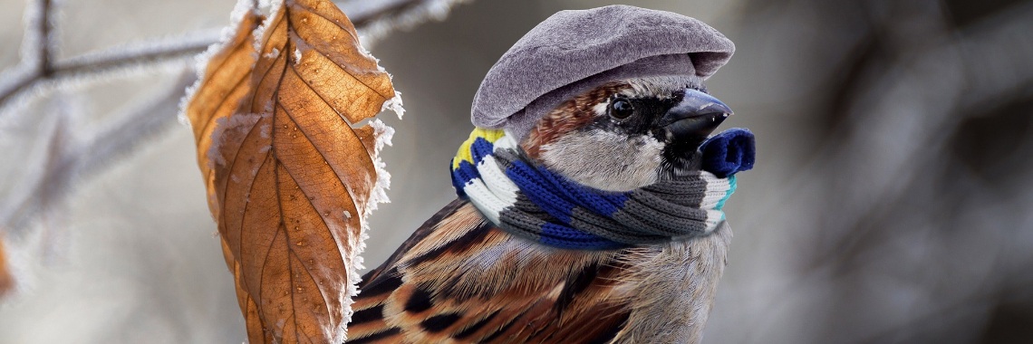 Onbetaalbare Pets | 365dgn